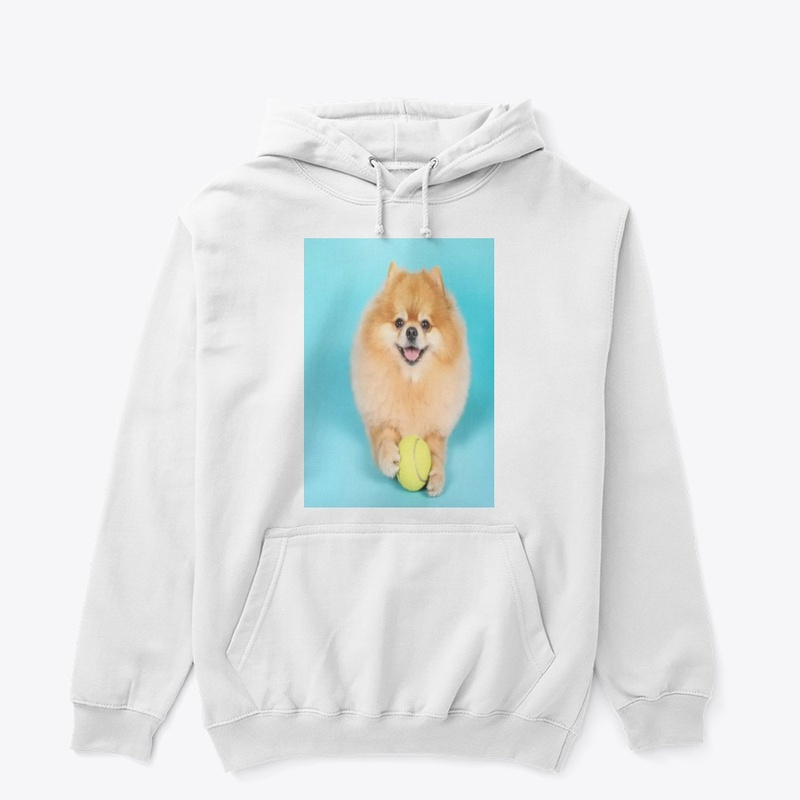 cute dog