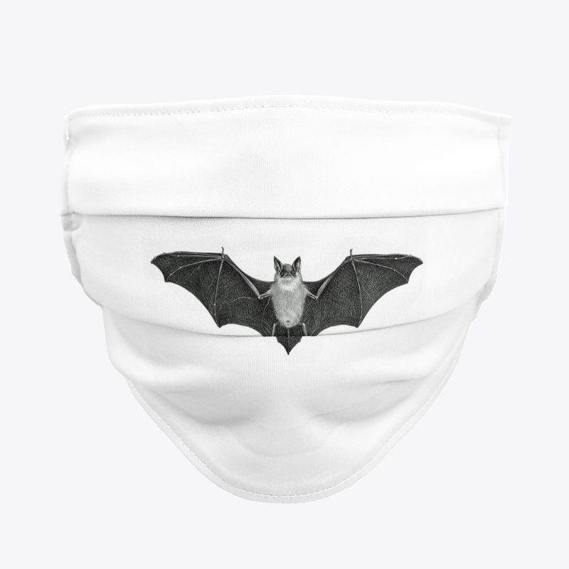 MR. BAT TO YOU!!!