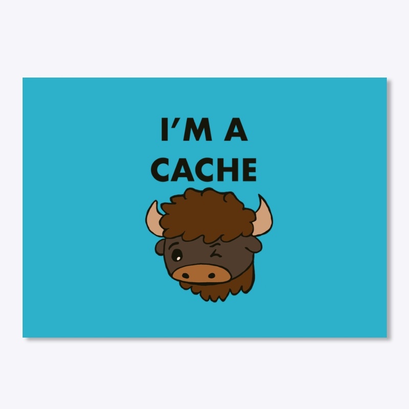 I’m A Cache Bison Accessories