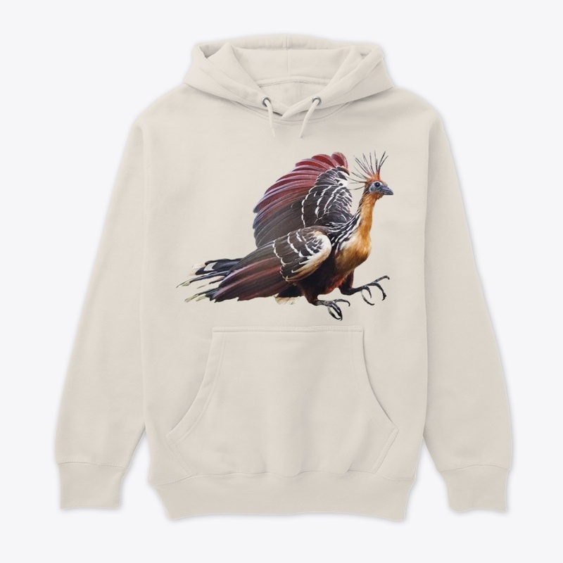 Hoazin bird