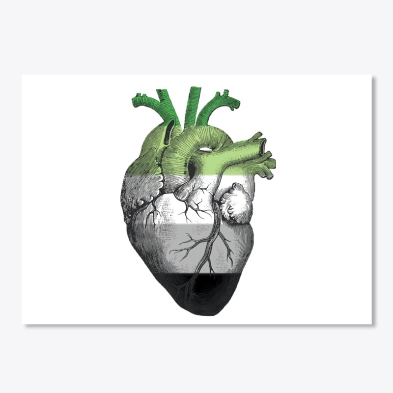 Aromantic Pride Anatomical Heart