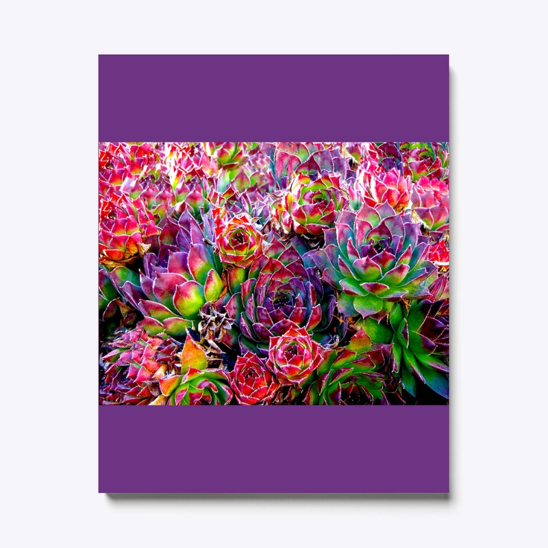 Plants are always in vogue!