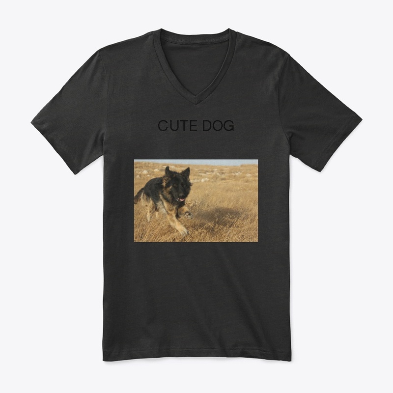 Camisa dog