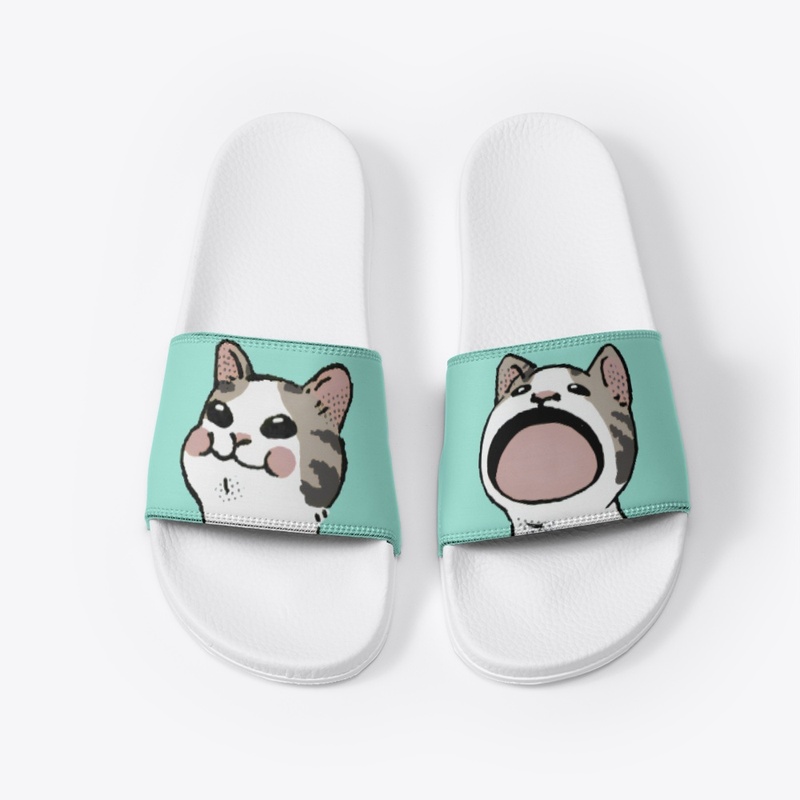 Pop cat