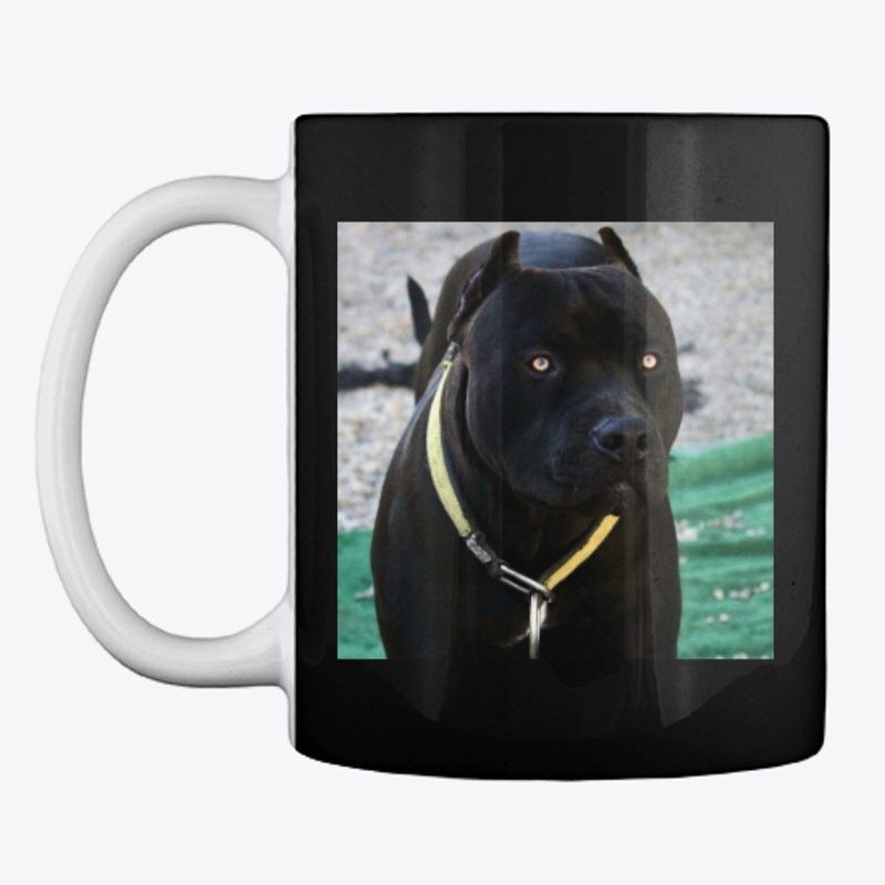 Pitbulls Black