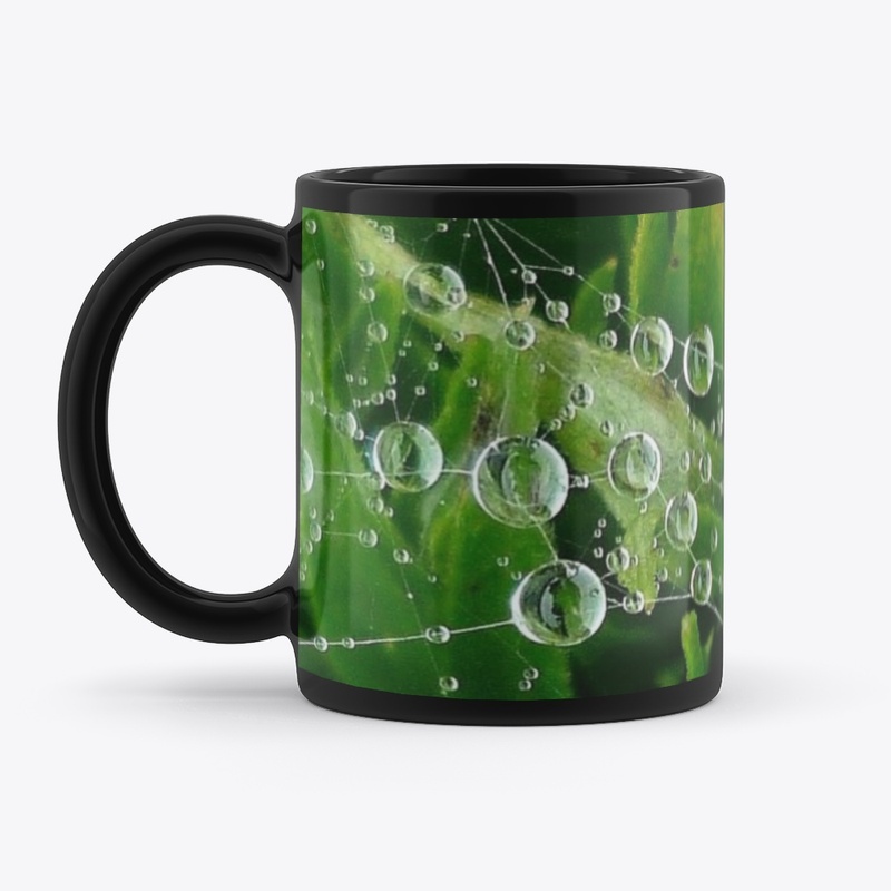 Rain Water Drops Ideas |  Spider Web