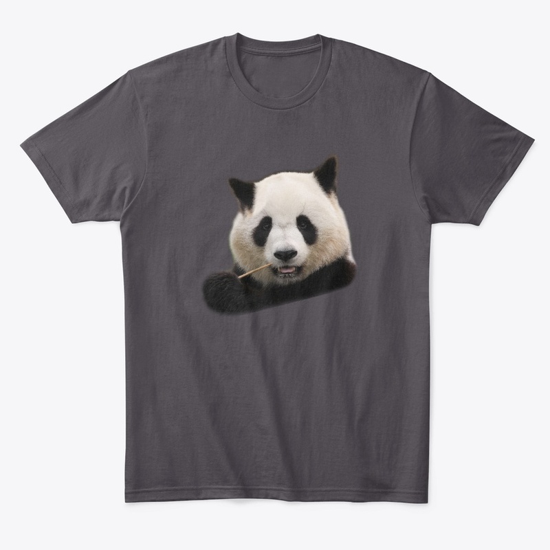Giant panda 