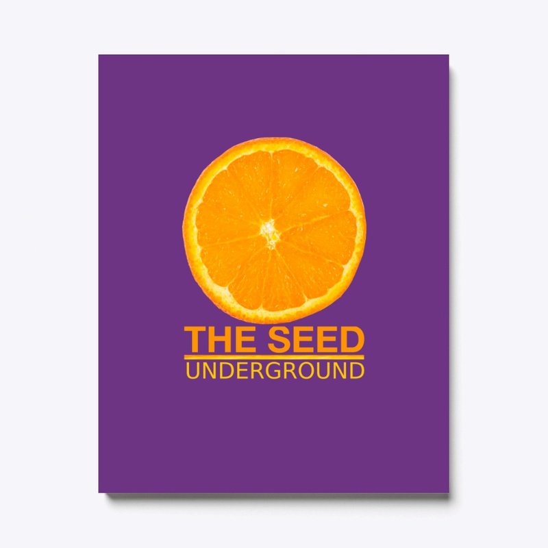 The Seed Orange Logo