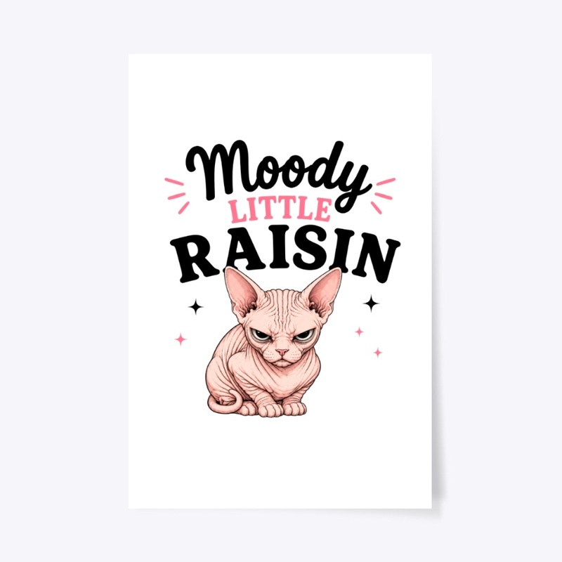 Moody Little Raisin Sphynx Cat