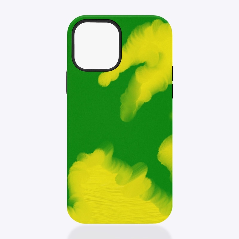 Case
