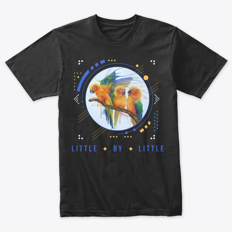 The Conures - "Little By Little"