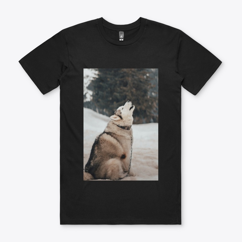 Men's Staple Tee