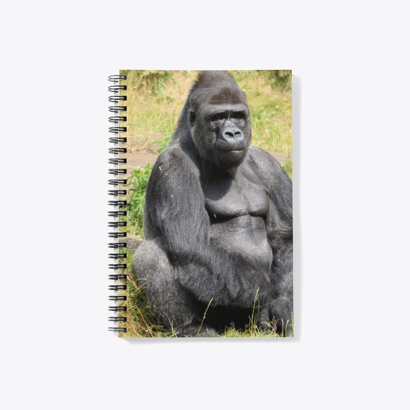 Gorilla