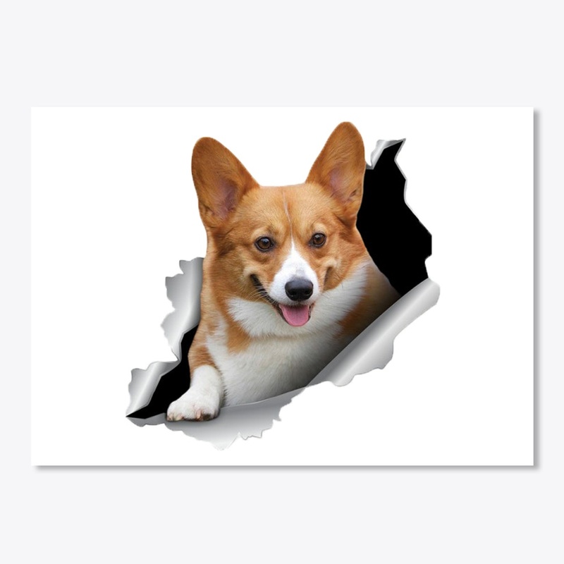 corgi