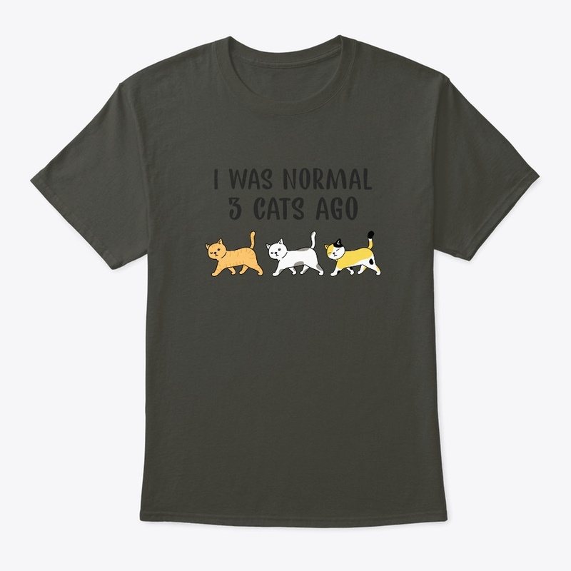 I was normal 3 cats ago funny cat lover