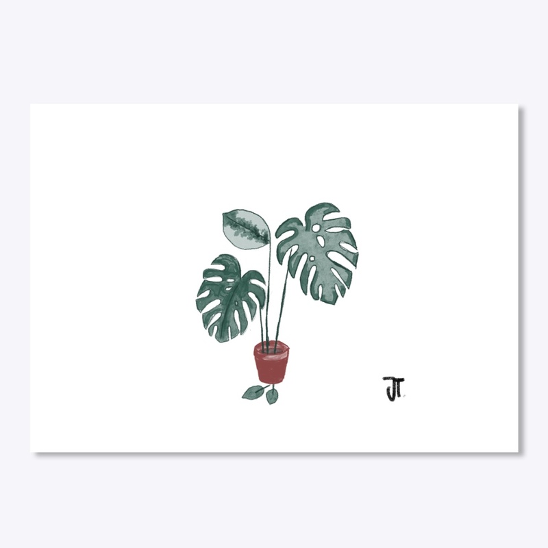 Monstera