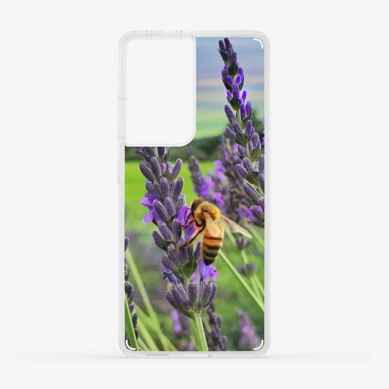 Bee in Maui Lavender
