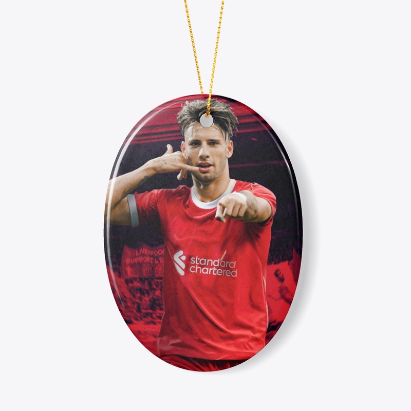 Dominic szoboszlai reds football player