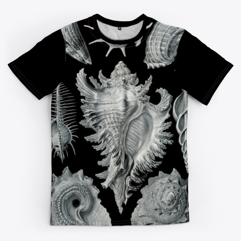 The Mollusk