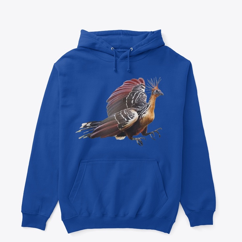 Hoazin bird
