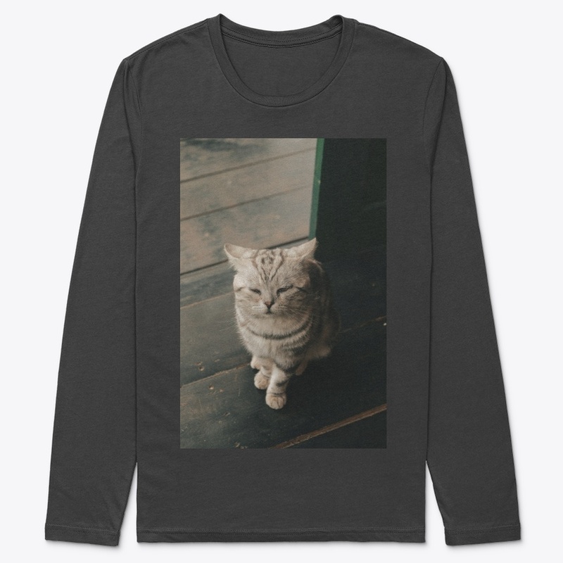 Kitten T-shirt