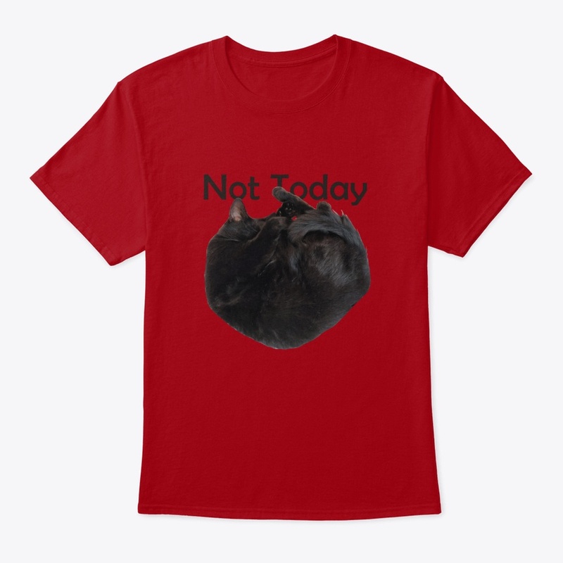 Not Today Sleepy Kitty