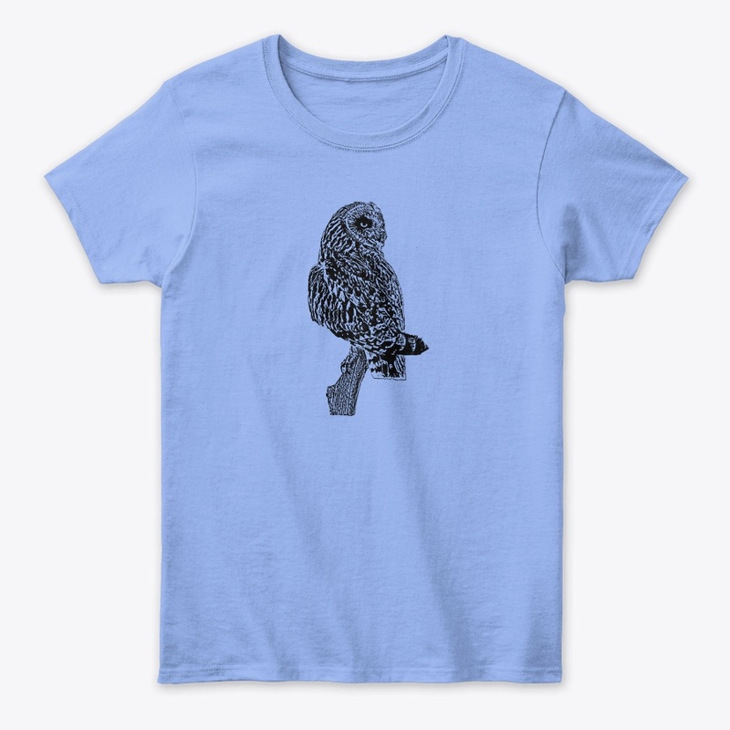Short-eared Owl Birdwatching
