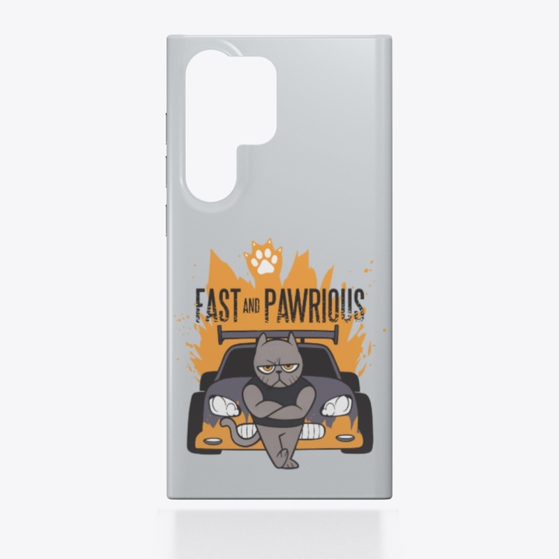 Racer Cat, Funny Parody