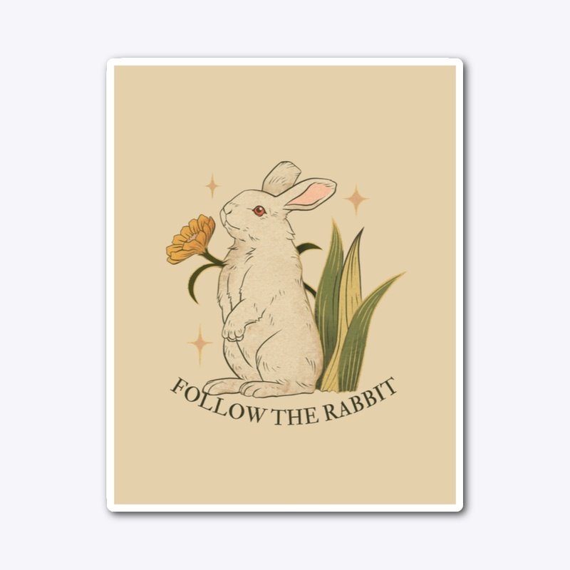 Follow The Rabbit t-shirt for women