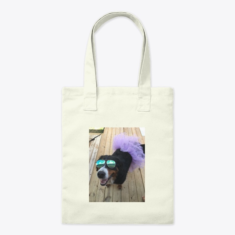 Bernese Mountain Dog 