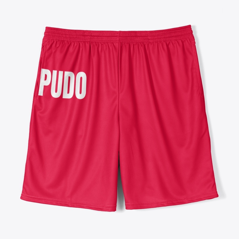 Pudo