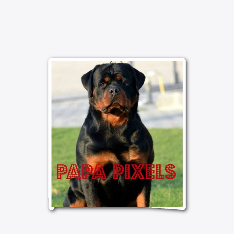 papa collection