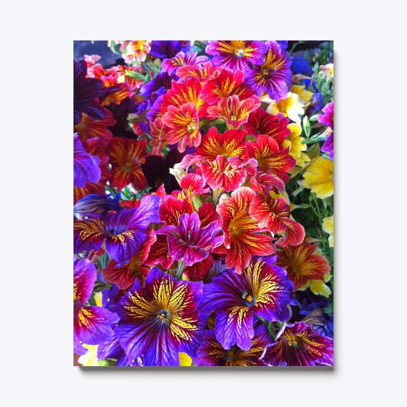 An Exotic Flower For Your Garden