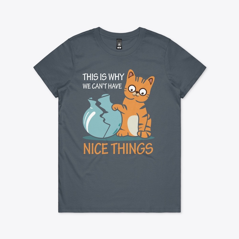 Nice Things broken by Cat Tee