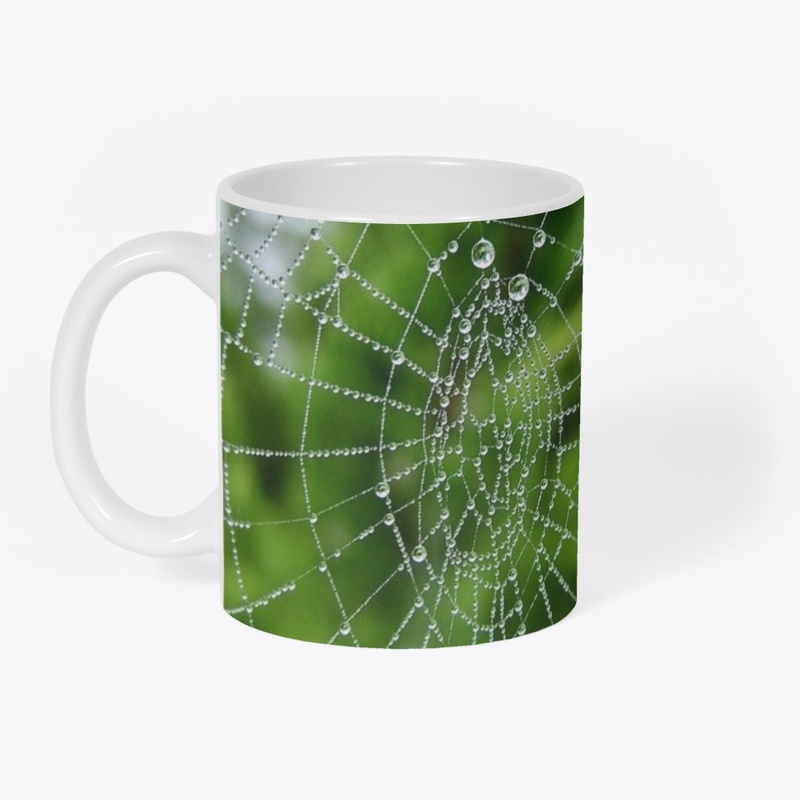 Spider Web With Drops Of Water design
