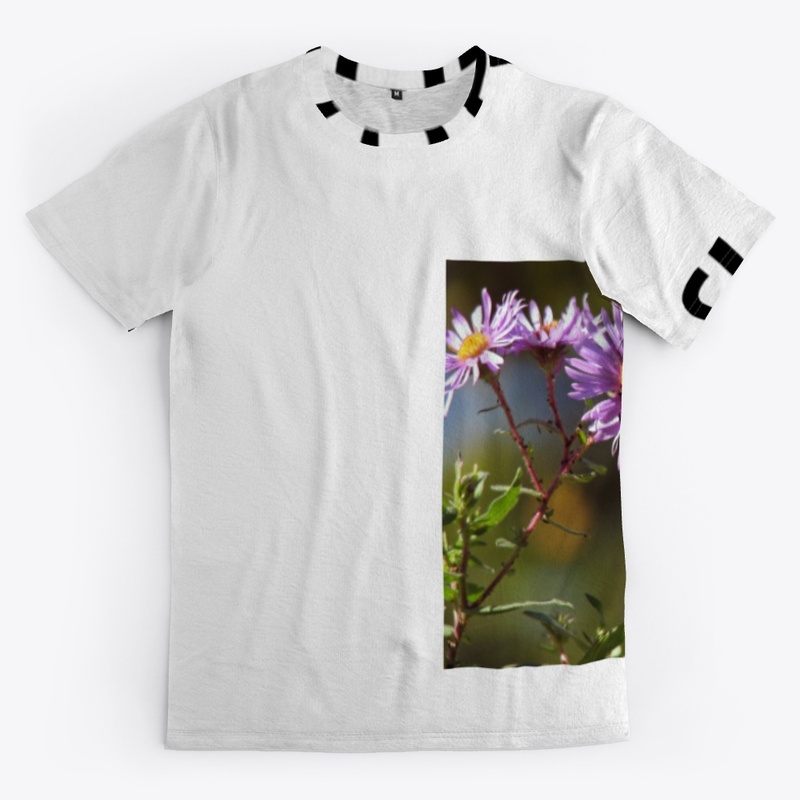 btterfly collection