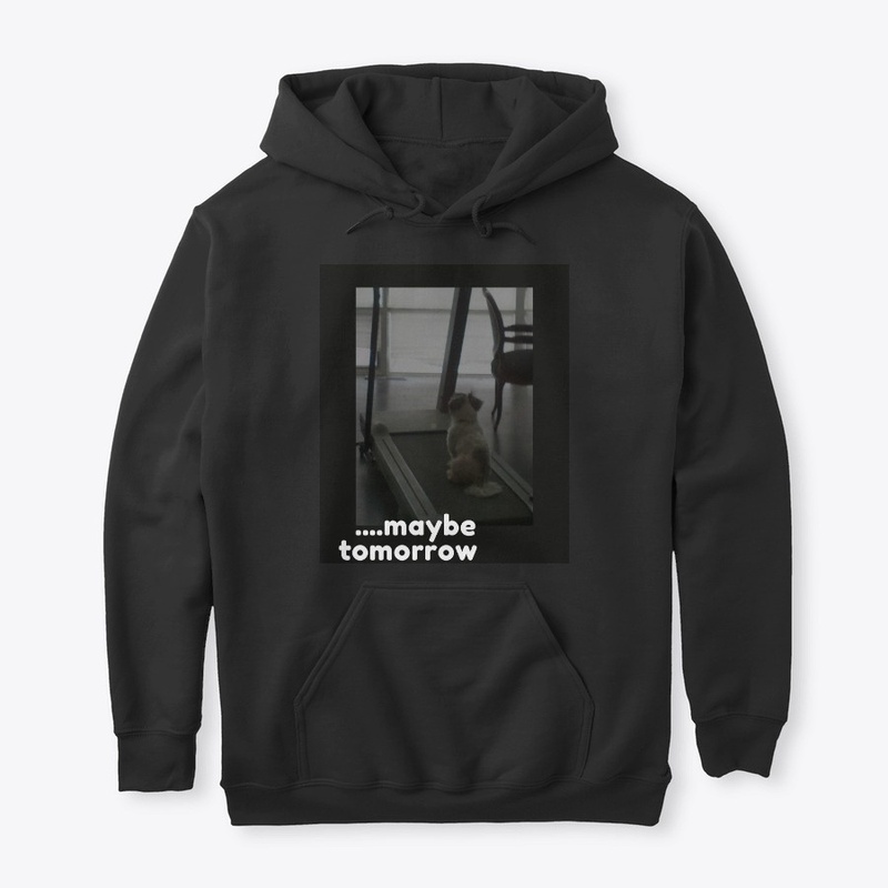 Maybe Tomorrow Shih Tzu Black