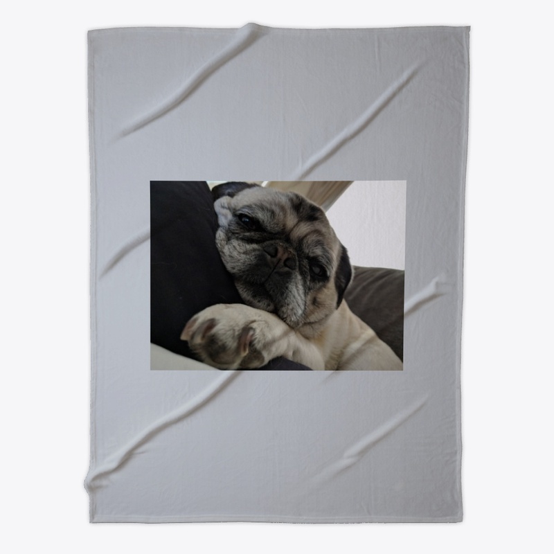 Pug sweatshirts, pug iPhone cases,pug pi