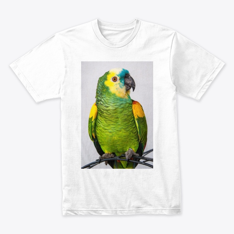 parrot design