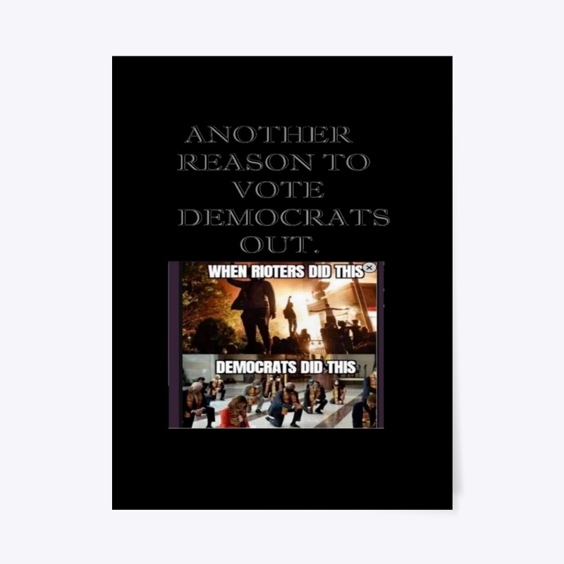 Reason to vote Democrats out1.2