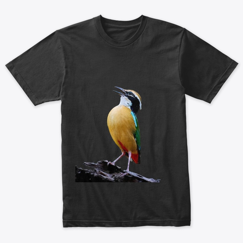 Indian Pitta