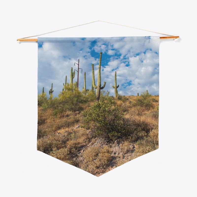 AZ Landscape 