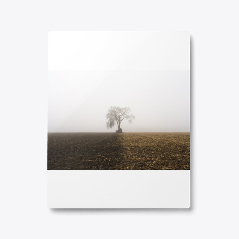 Midwest Field