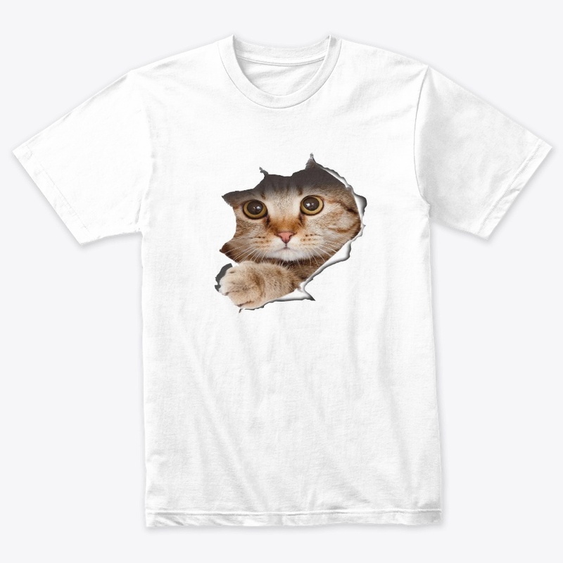 CAT IS COMING OUT