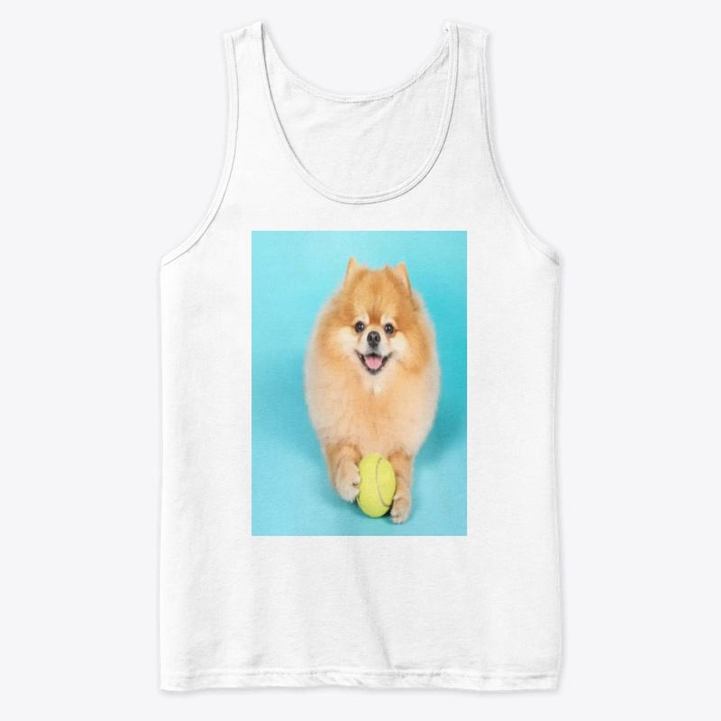 cute dog