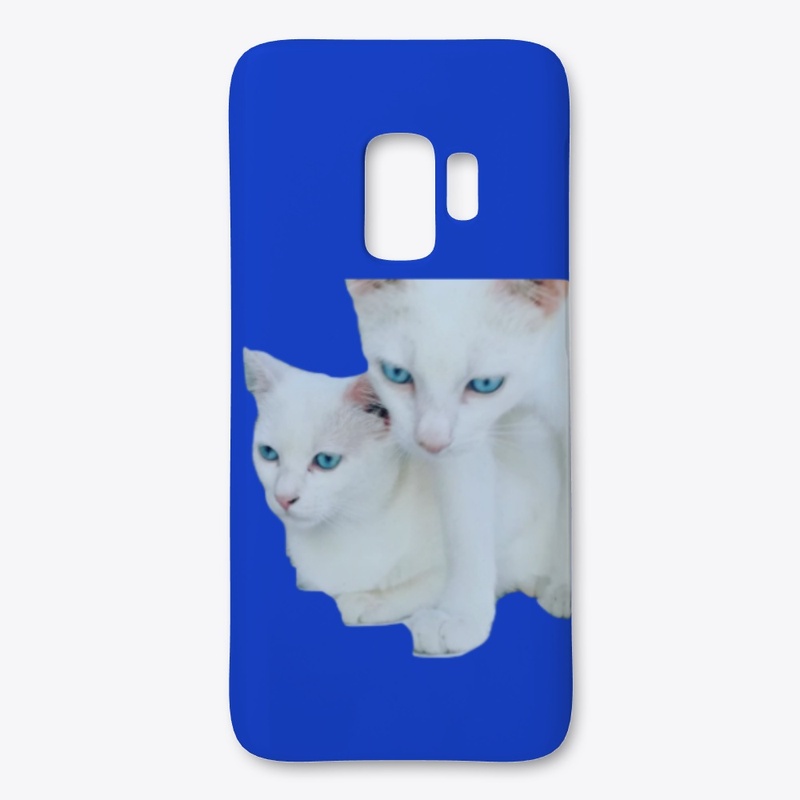 cats 