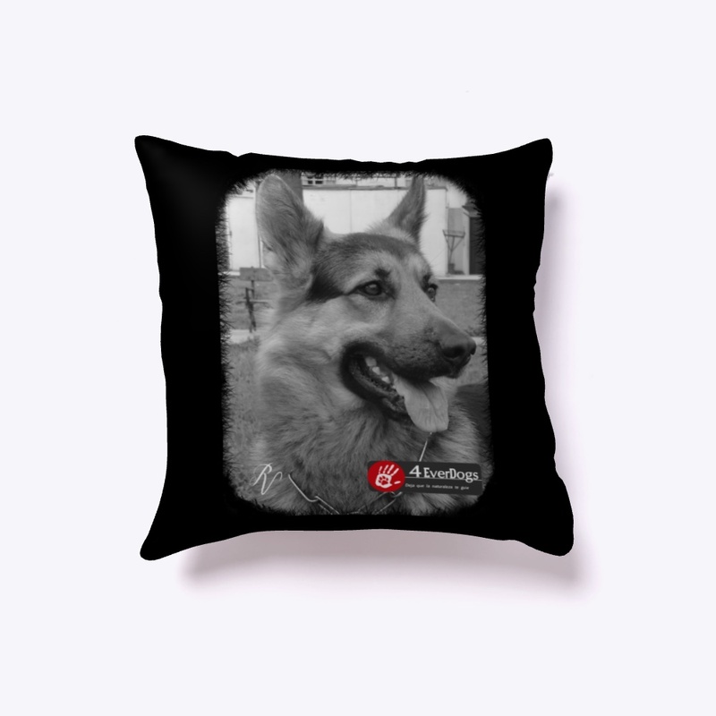 Cojín Diogo, 4EverDogs