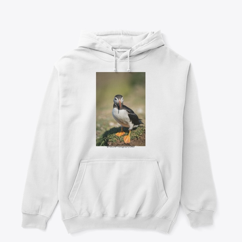Puffin