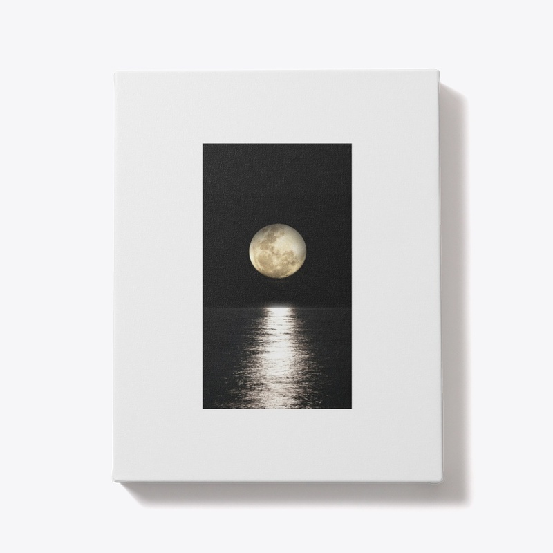 Embracing the Night Sky