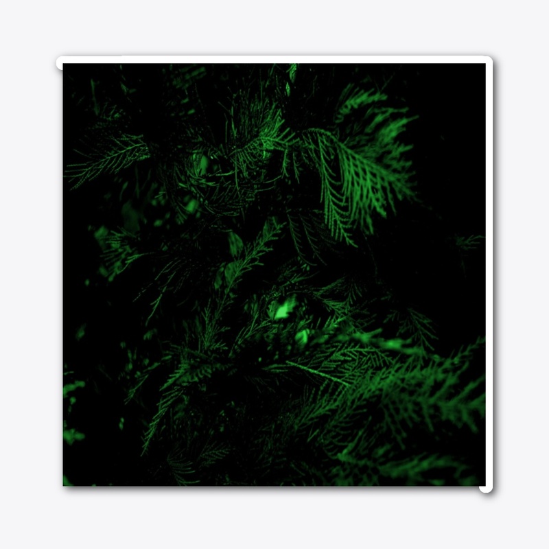 green cypress